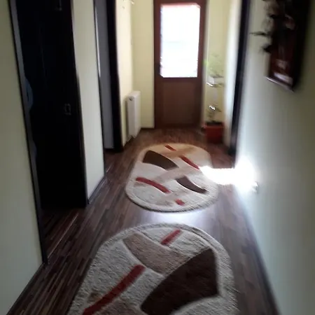 Casa Jianu *